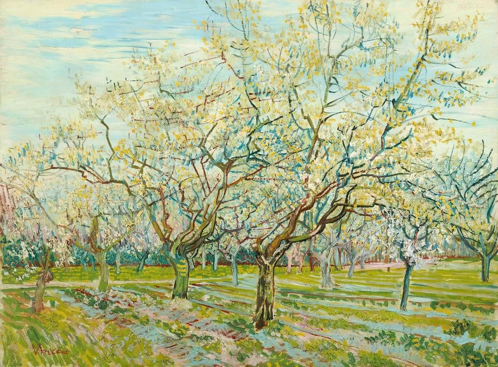 92-Vincent van Gogh-Il frutteto bianco, 1888 - Amsterdam, Van Gogh Museum  